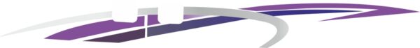 MARUTI SUZUKI VERSA (2008 ONWARDS) BODY GRAPHICS – PURPLE-SILVER